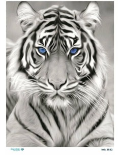 2932 Diamond Pirinç Dekopaj Kağıdı 30x42cm