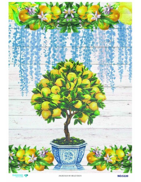 5220 Diamond Pirinç Dekopaj Kağıdı 30x42cm