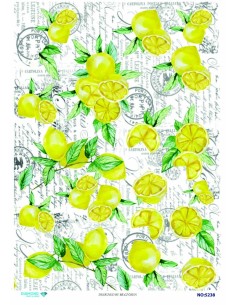 5238 Diamond Pirinç Dekopaj Kağıdı 30x42cm