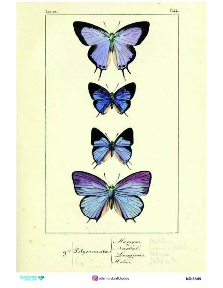 5345 Diamond Pirinç Dekopaj Kağıdı 30x42cm