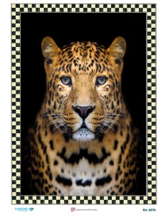 6014 Diamond Pirinç Dekopaj Kağıdı 30x42cm