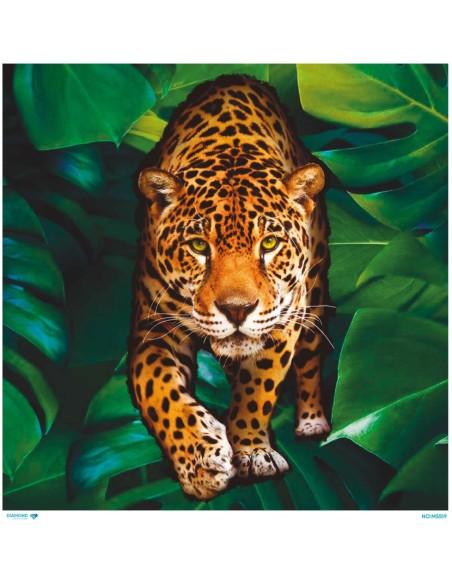 M5519 Diamond Metrelik Büyük Boy Pirinç Dekopaj Kağıdı 90x90cm