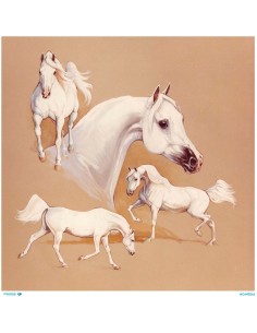 M5546 Diamond Metrelik Büyük Boy Pirinç Dekopaj Kağıdı 90x90cm
