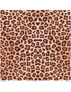 M5590 Diamond Metrelik Büyük Boy Pirinç Dekopaj Kağıdı 90x90cm