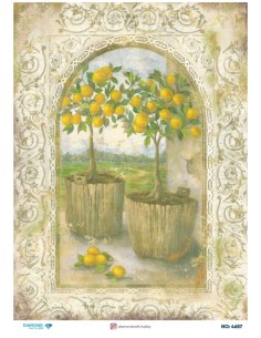 4657 Diamond Pirinç Dekopaj Kağıdı 30x42cm