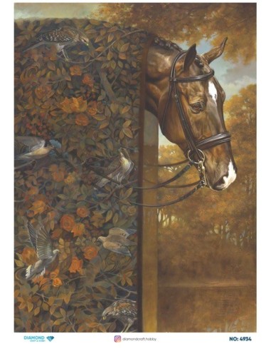 4934 Diamond Pirinç Dekopaj Kağıdı 30x42cm