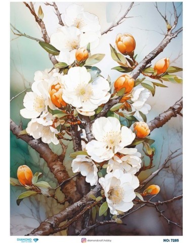 7285 Diamond Pirinç Dekopaj Kağıdı 30x42cm