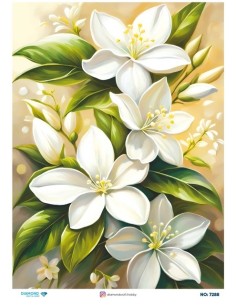 7288 Diamond Pirinç Dekopaj Kağıdı 30x42cm