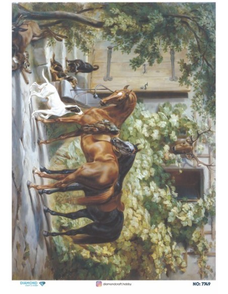 7749 Diamond Pirinç Dekopaj Kağıdı 30x42cm