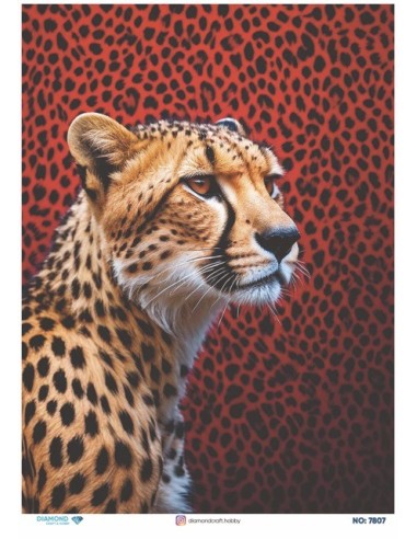 7807 Diamond Pirinç Dekopaj Kağıdı 30x42cm