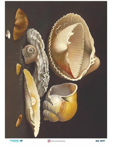 3979 Diamond Pirinç Dekopaj Kağıdı 30x42cm