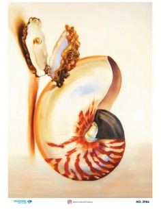 3986 Diamond Pirinç Dekopaj Kağıdı 30x42cm