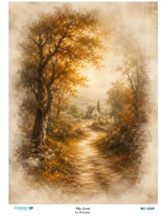 8249 Diamond Pirinç Dekopaj Kağıdı Plus Serisi 30x42cm