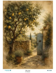 8250 Diamond Pirinç Dekopaj Kağıdı Plus Serisi 30x42cm