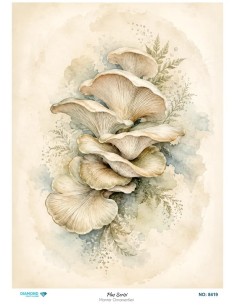 8419 Diamond Pirinç Dekopaj Kağıdı Plus Serisi 30x42cm