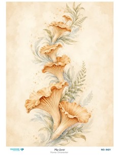 8421 Diamond Pirinç Dekopaj Kağıdı Plus Serisi 30x42cm